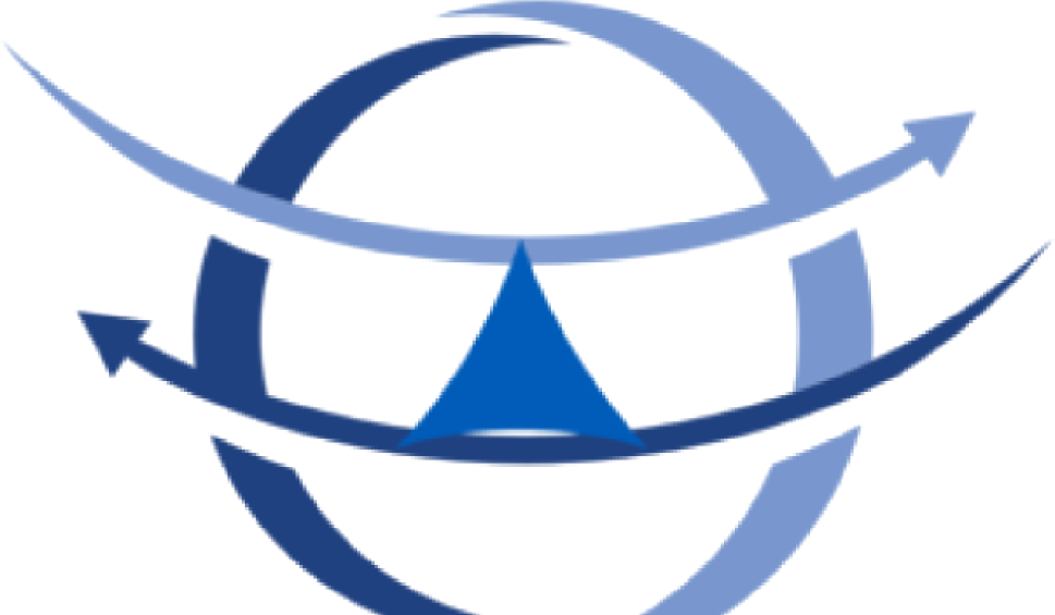 Marca Narducci Consulting
